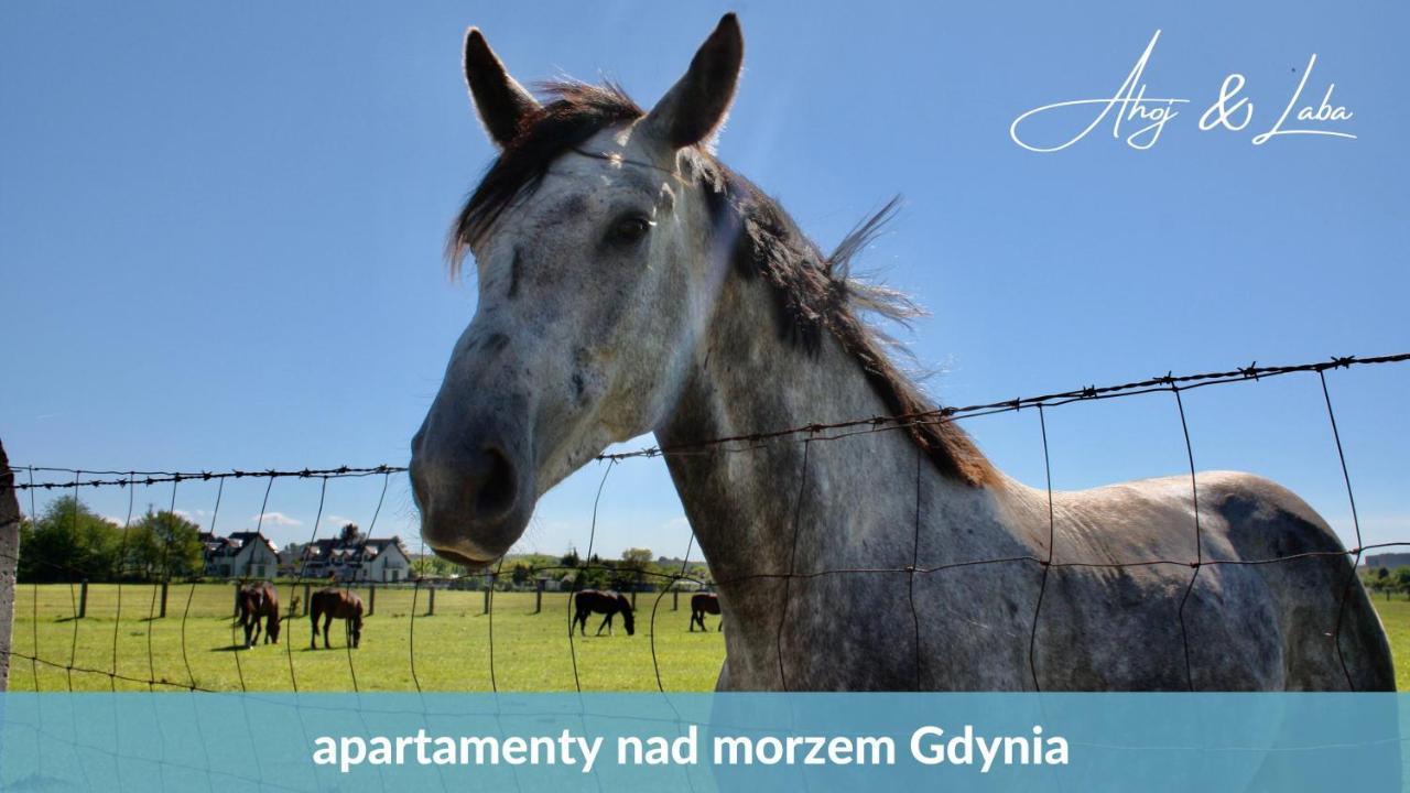 Ferienwohnung Laba - Basen, Blisko Plazy, Cisza, Taras, Parking, Bezplatne Wifi, Wyjatkowy! Gdynia Exterior foto