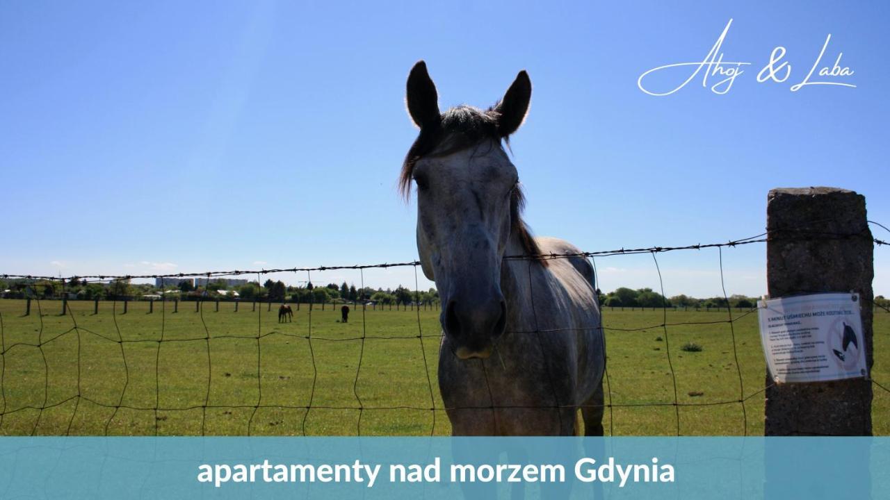 Ferienwohnung Laba - Basen, Blisko Plazy, Cisza, Taras, Parking, Bezplatne Wifi, Wyjatkowy! Gdynia Exterior foto