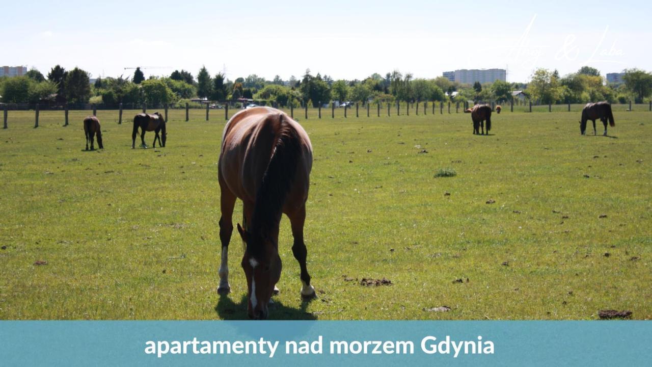 Ferienwohnung Laba - Basen, Blisko Plazy, Cisza, Taras, Parking, Bezplatne Wifi, Wyjatkowy! Gdynia Exterior foto